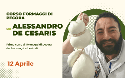 CORSO FORMAGGI DI PECORA CON ALESSANDRO DE CESARIS